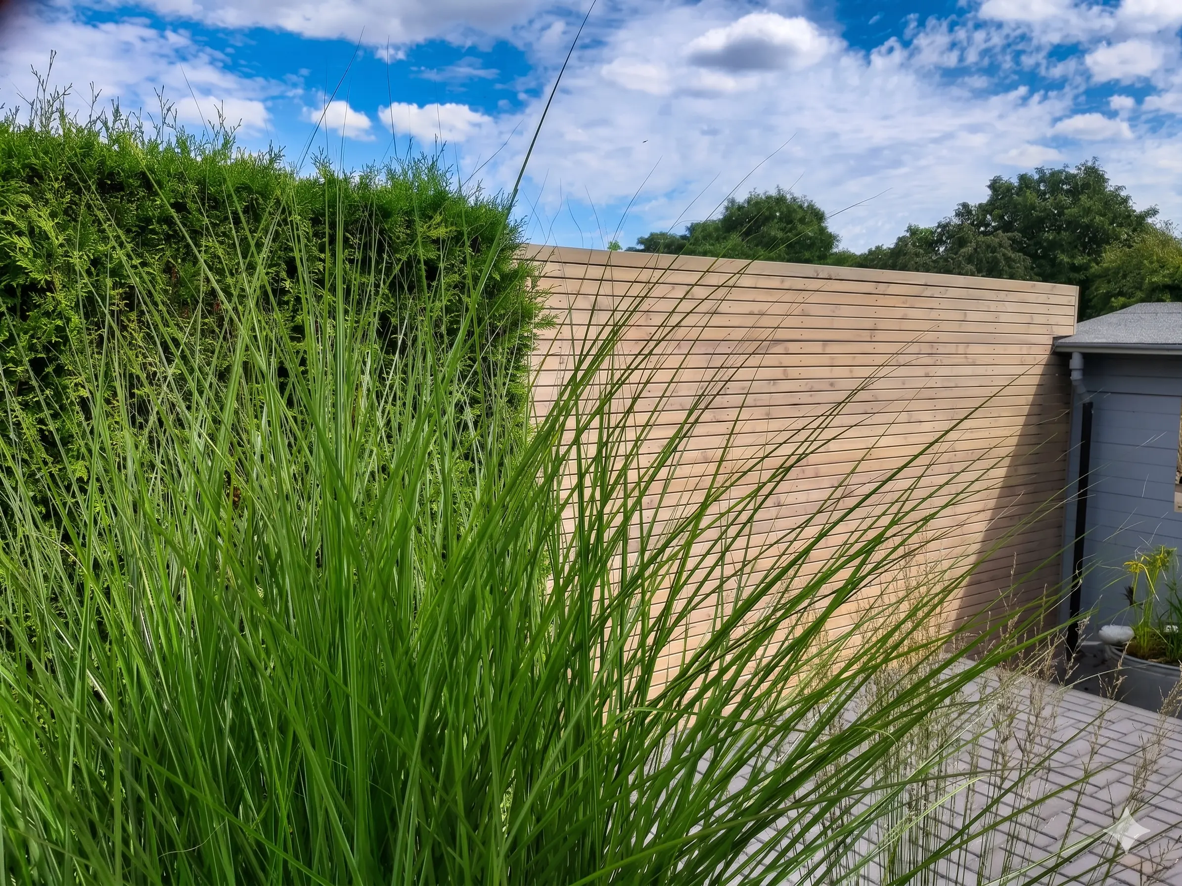 Holzhandlung Jansen Erkelenz Terrassendielen